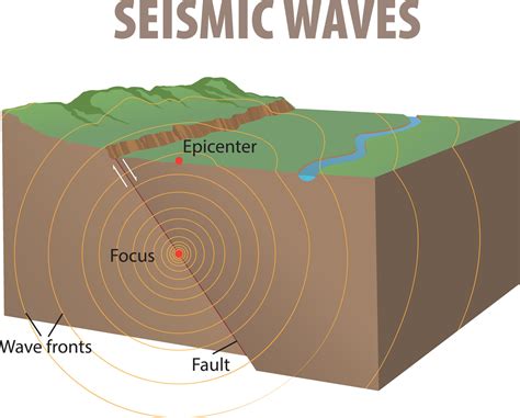 Seismic S